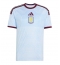 Aston Villa Amadou Onana #24 Tredje Tröja 2026-27 Kortärmad