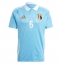 Belgien Axel Witsel #6 Bortatröja EM 2024 Kortärmad Belgien Axel Witsel #6 Bortatröja EM 2024 Kortärmad
