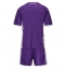 Fotbollsset Barn Fiorentina Hemmatröja 2025-26 Mini-Kit Kortärmad (+ korta byxor)